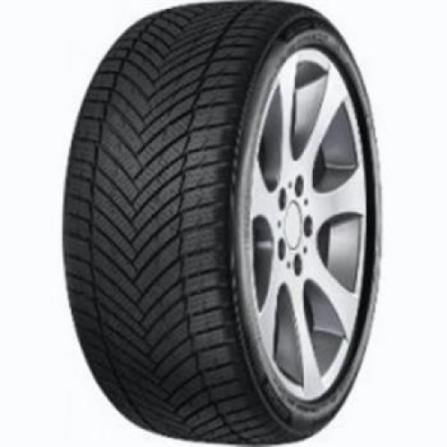 MINERVA AS MASTER 205/50 R17 93W