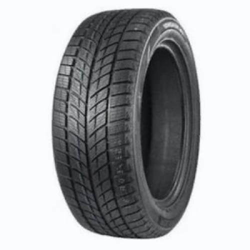 Double Star WINTERKING DW09 215/45 R17 91T